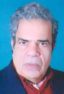 الدسوقي فهمي